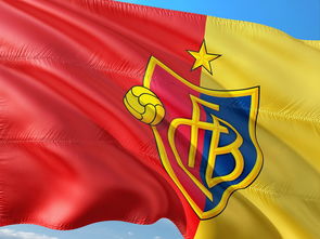 哈兰德回归赛场，赛事规则更新首场状态亮眼，瑞士队观众沸腾！